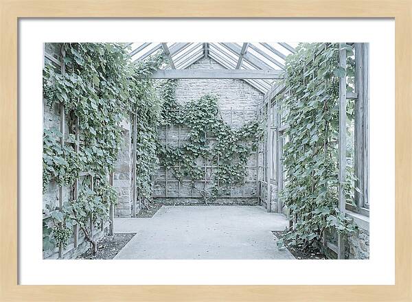 Heritage Grape House Serenity