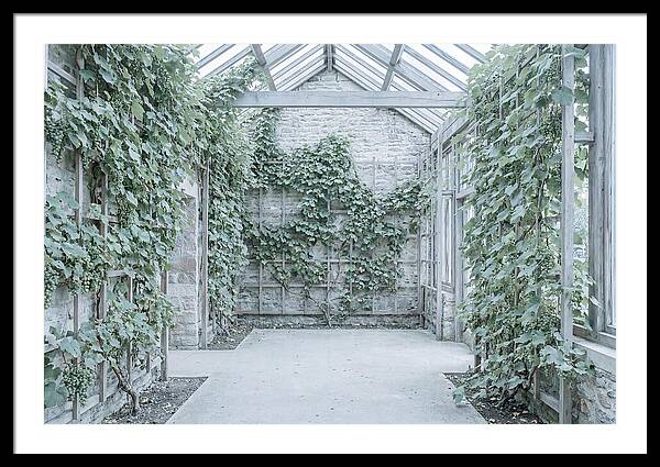 Heritage Grape House Serenity