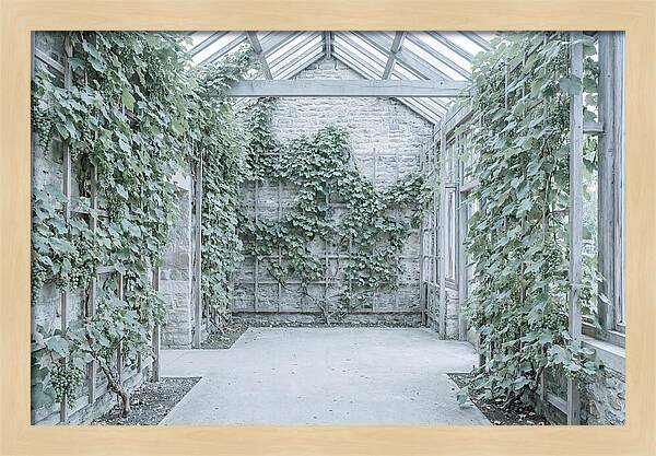 Heritage Grape House Serenity