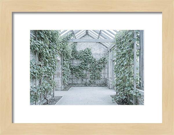 Heritage Grape House Serenity