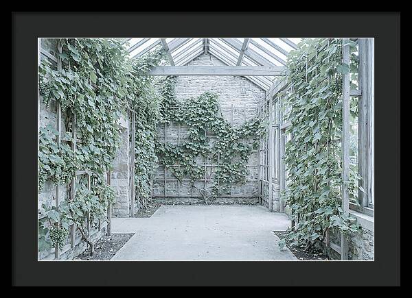 Heritage Grape House Serenity