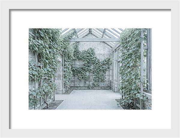 Heritage Grape House Serenity