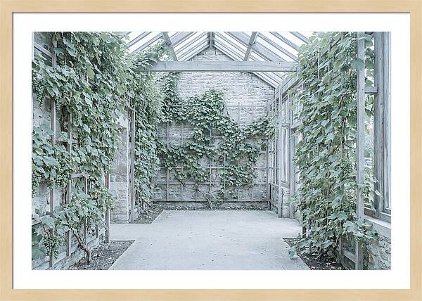 Heritage Grape House Serenity