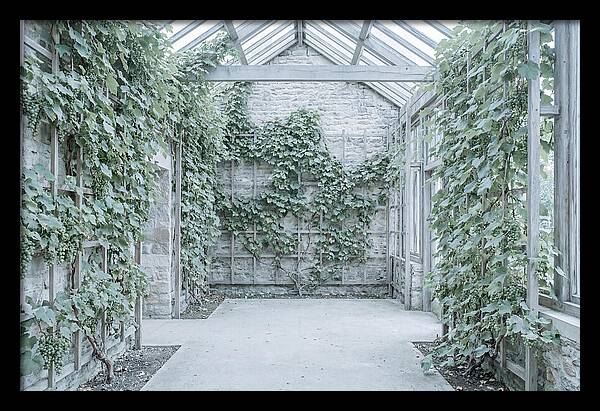 Heritage Grape House Serenity