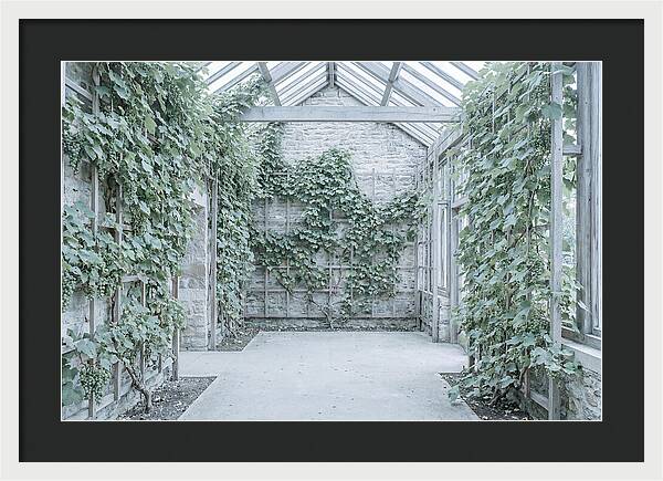Heritage Grape House Serenity