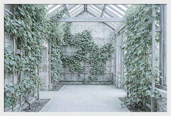 Heritage Grape House Serenity