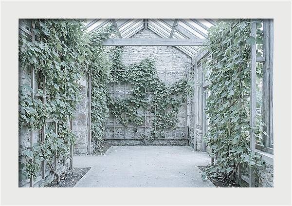 Heritage Grape House Serenity
