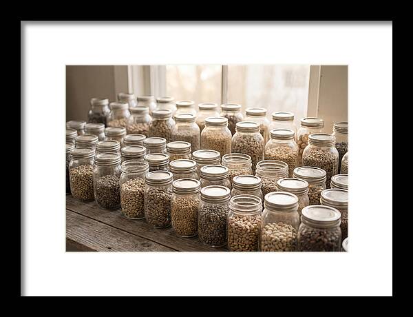Heritage Seed Collection Display