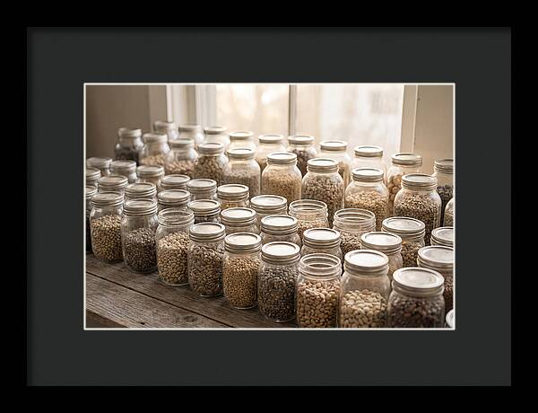Heritage Seed Collection Display