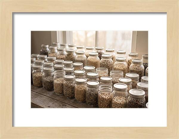Heritage Seed Collection Display