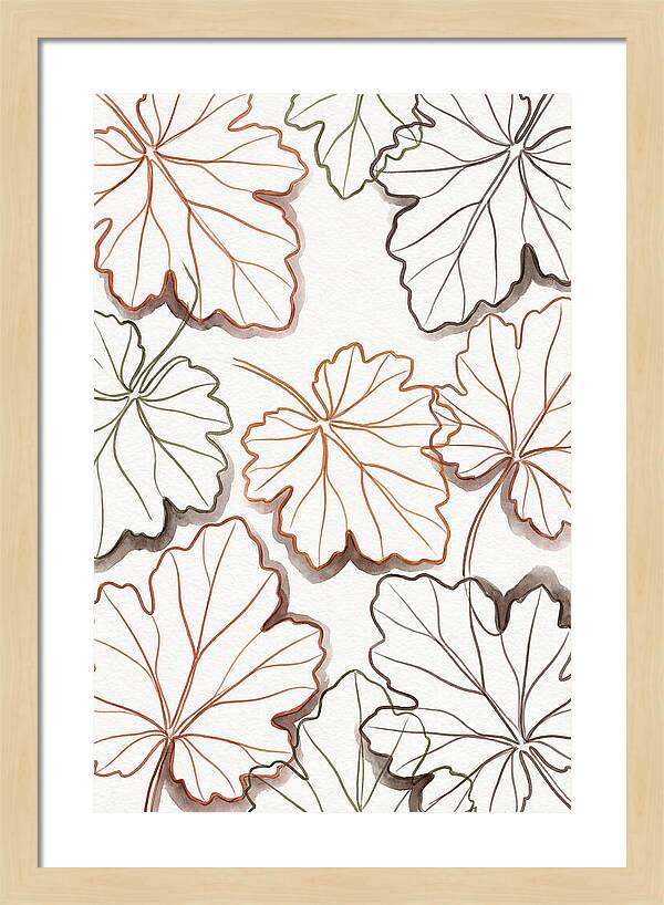 Heuchera Foliage Elegance