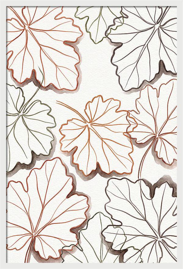 Heuchera Foliage Elegance