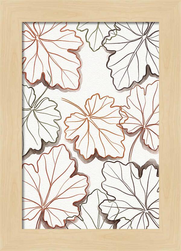 Heuchera Foliage Elegance