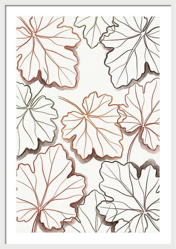 Heuchera Foliage Elegance