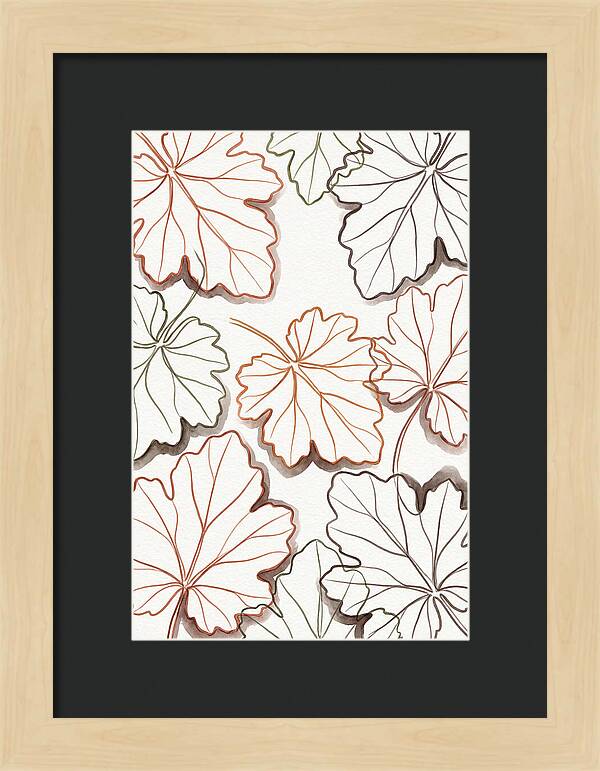 Heuchera Foliage Elegance