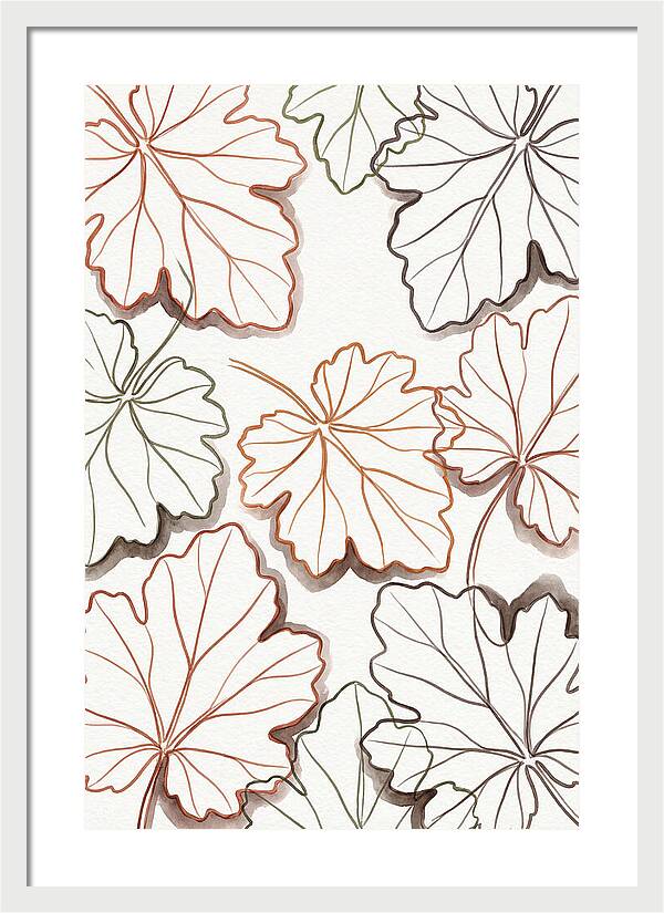 Heuchera Foliage Elegance