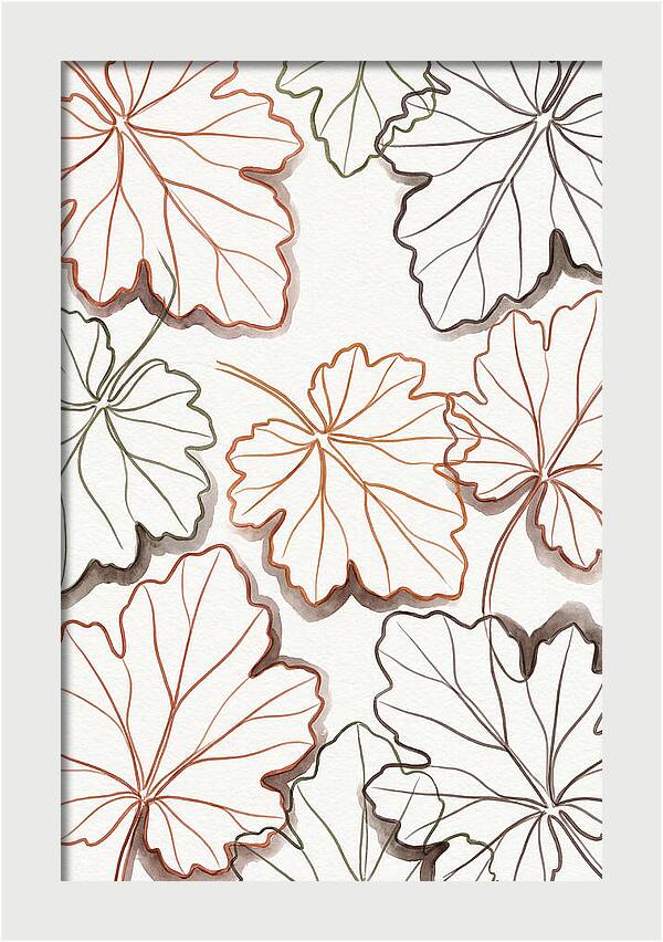 Heuchera Foliage Elegance