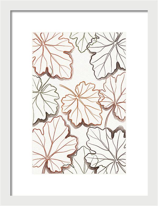 Heuchera Foliage Elegance