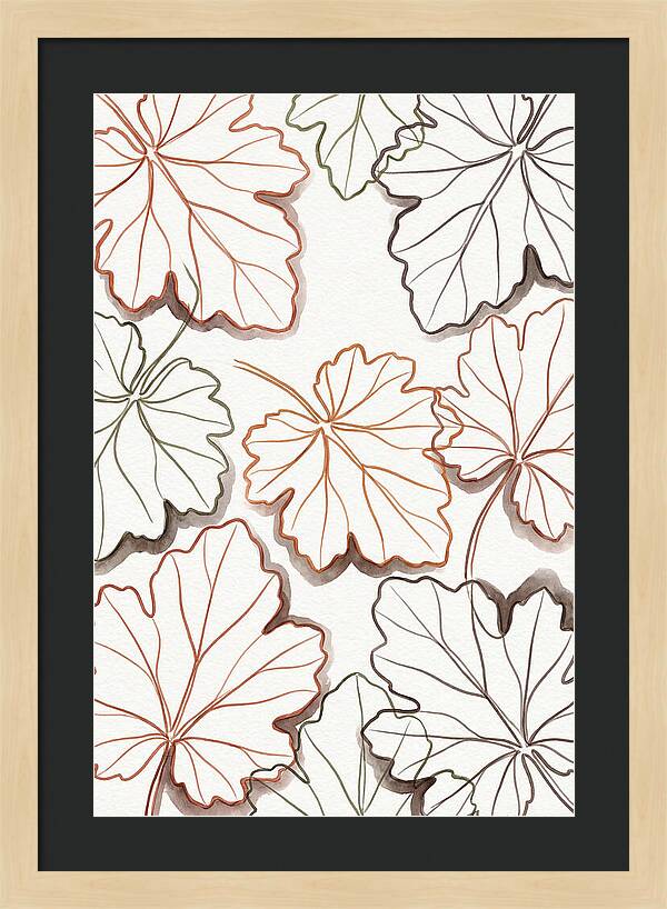 Heuchera Foliage Elegance