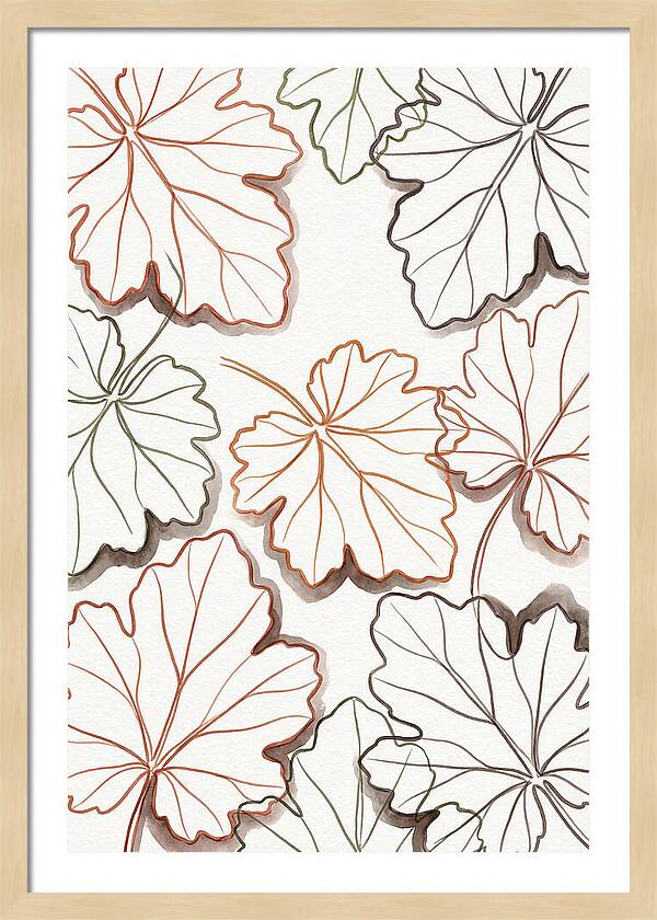 Heuchera Foliage Elegance