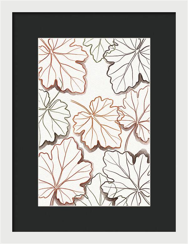 Heuchera Foliage Elegance