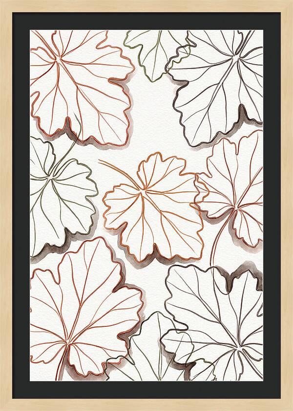 Heuchera Foliage Elegance