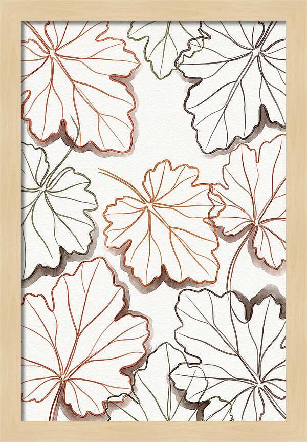 Heuchera Foliage Elegance