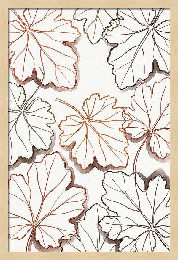 Heuchera Foliage Elegance