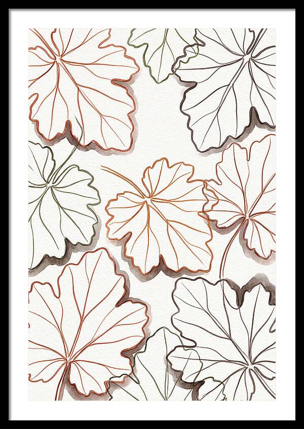 Heuchera Foliage Elegance