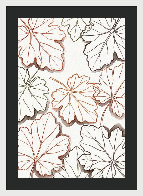Heuchera Foliage Elegance