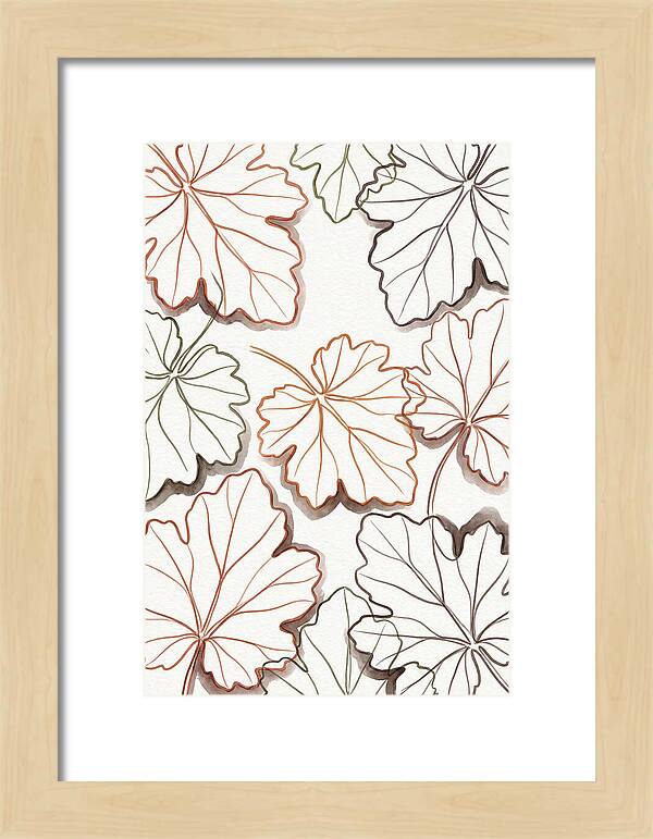 Heuchera Foliage Elegance
