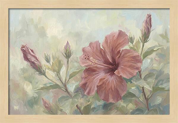 Hibiscus Bloom In Soft Hues