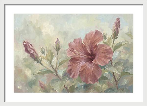 Hibiscus Bloom In Soft Hues