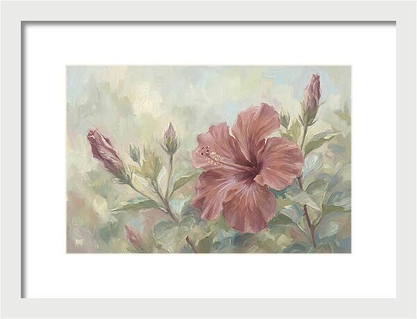 Hibiscus Bloom In Soft Hues