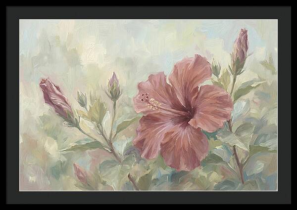 Hibiscus Bloom In Soft Hues