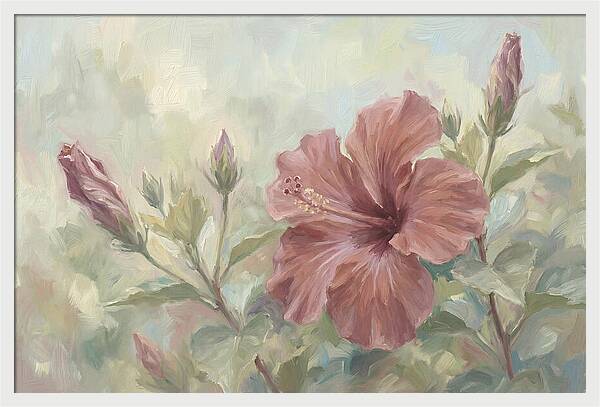 Hibiscus Bloom In Soft Hues