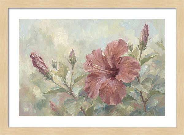 Hibiscus Bloom In Soft Hues