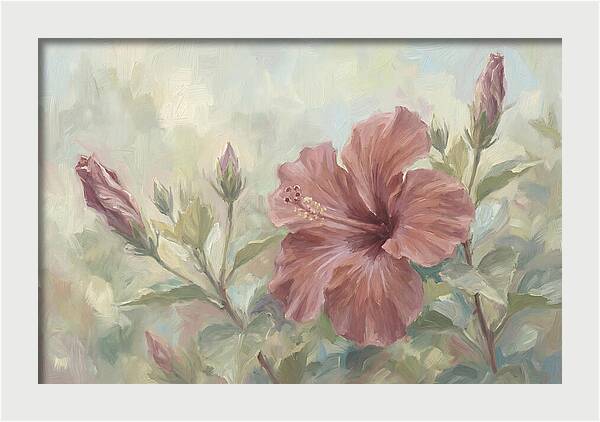Hibiscus Bloom In Soft Hues