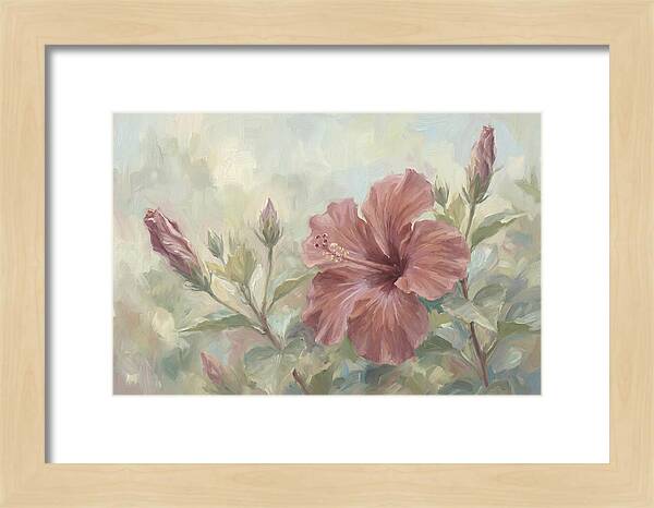 Hibiscus Bloom In Soft Hues
