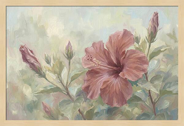 Hibiscus Bloom In Soft Hues