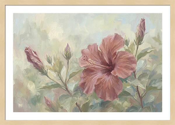 Hibiscus Bloom In Soft Hues