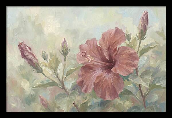 Hibiscus Bloom In Soft Hues