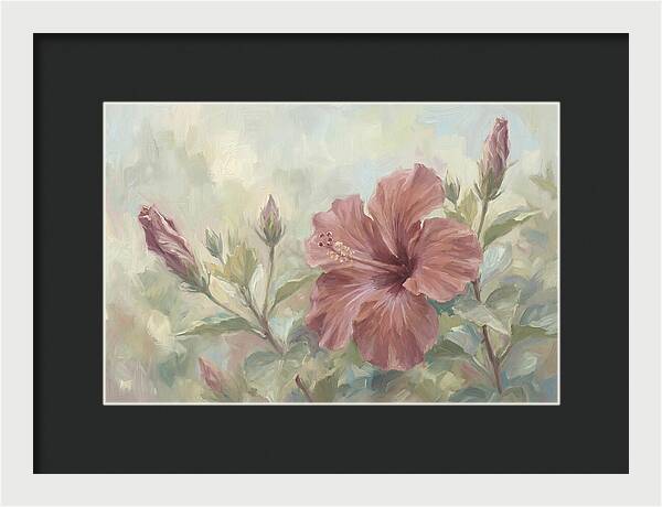 Hibiscus Bloom In Soft Hues