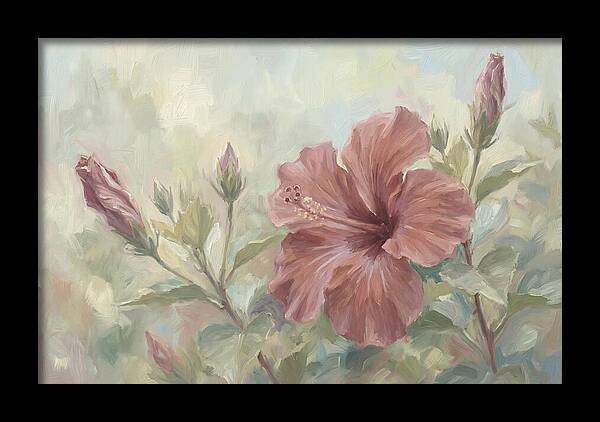 Hibiscus Bloom In Soft Hues