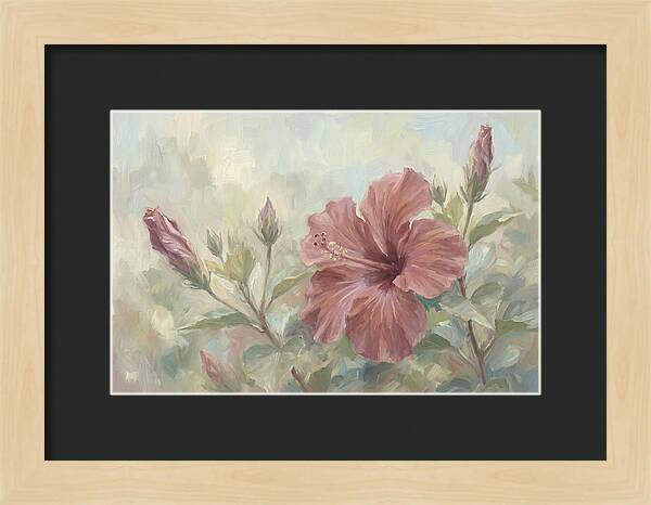 Hibiscus Bloom In Soft Hues
