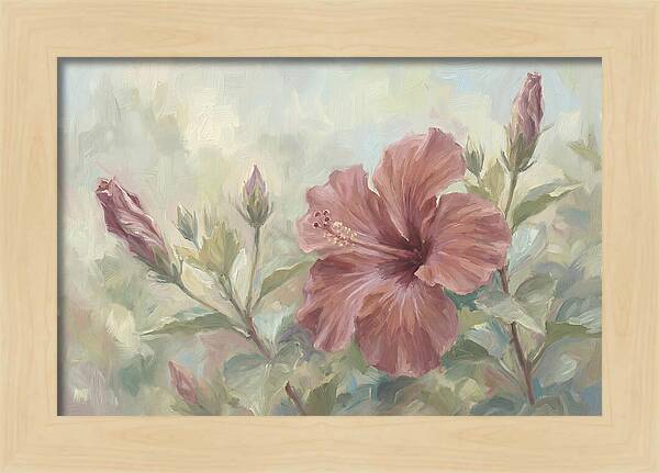 Hibiscus Bloom In Soft Hues