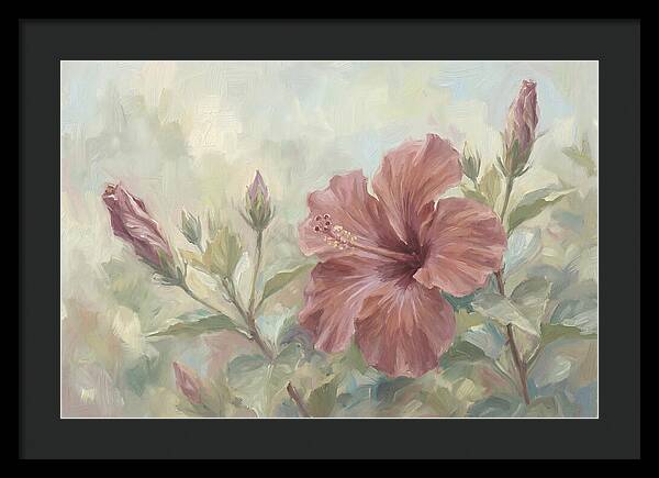 Hibiscus Bloom In Soft Hues