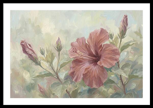 Hibiscus Bloom In Soft Hues