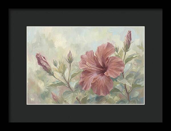 Hibiscus Bloom In Soft Hues