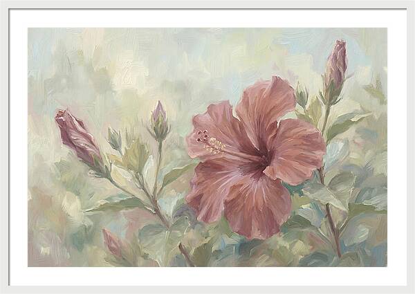 Hibiscus Bloom In Soft Hues